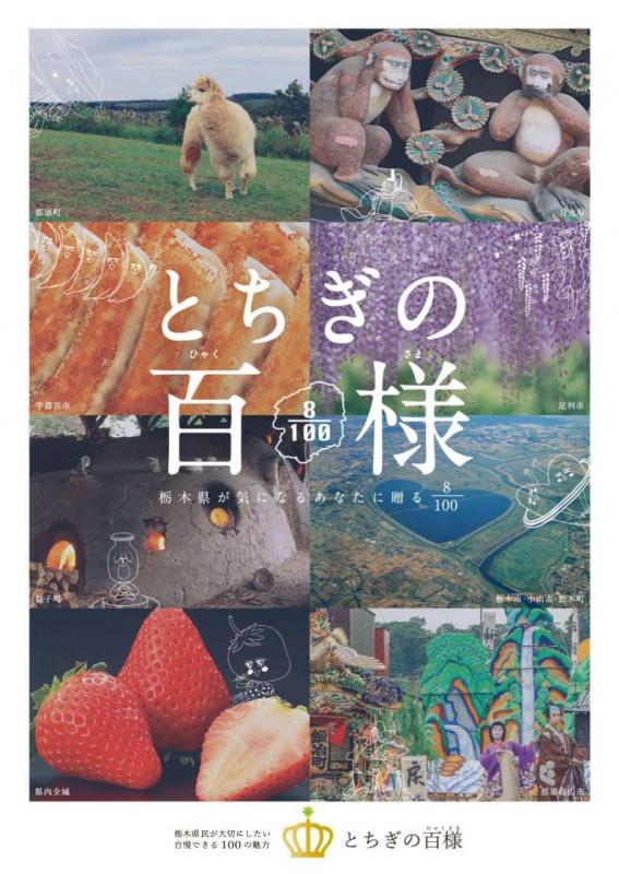 ガイドブック8表紙