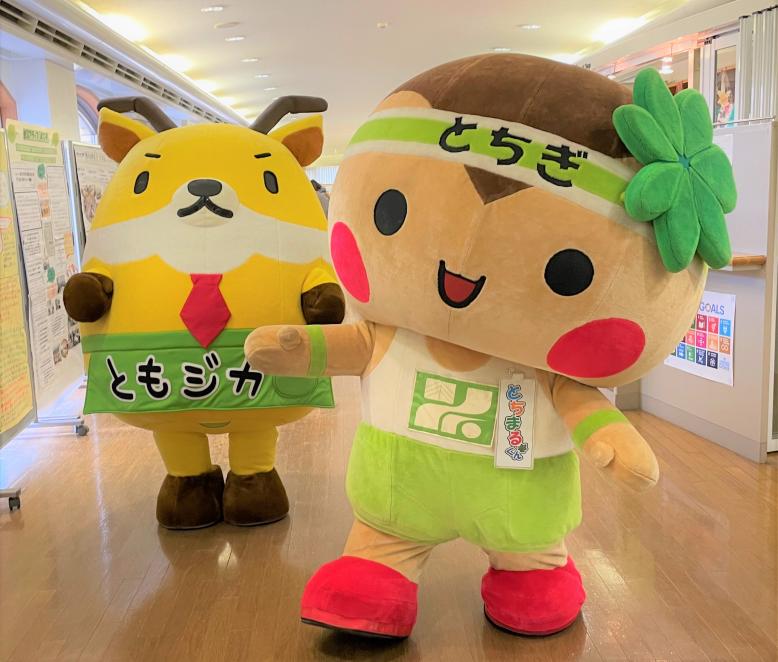 ともジカととちまるくん