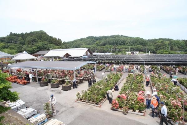 鹿沼市花木センター