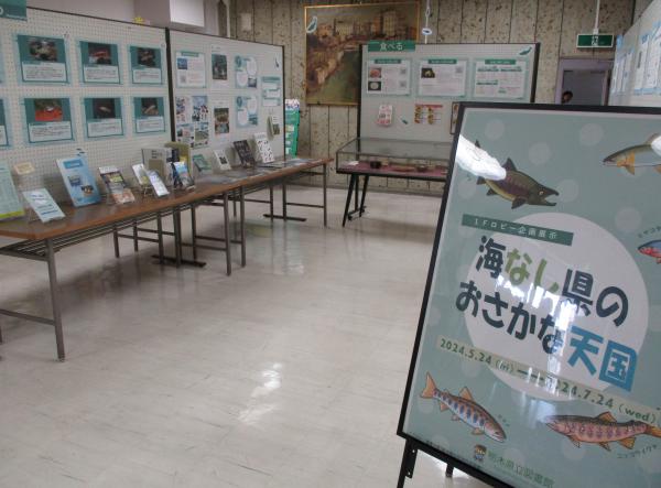 企画展示（R6.5.23～7.24 県民の日展示「海なし県のおさかな天国」）