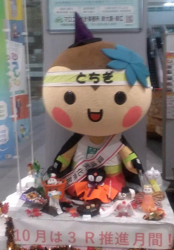 ハロウィンとちまる