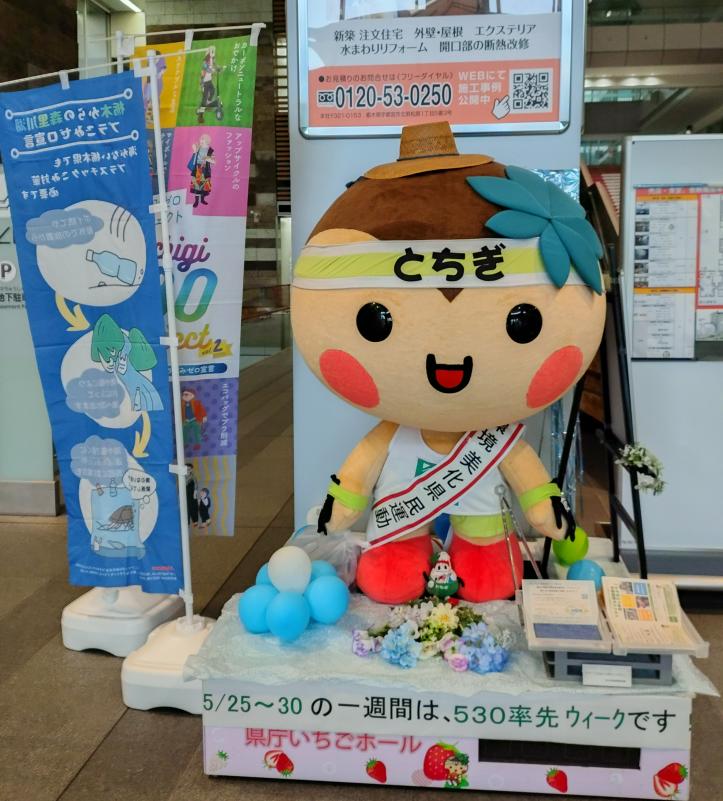 とちまるくんR8