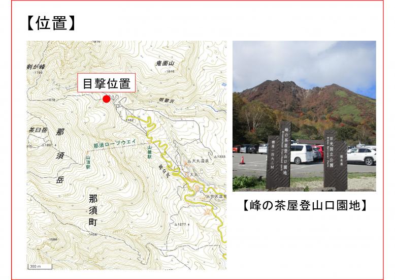 峰の茶屋登山口園地クマ目撃2