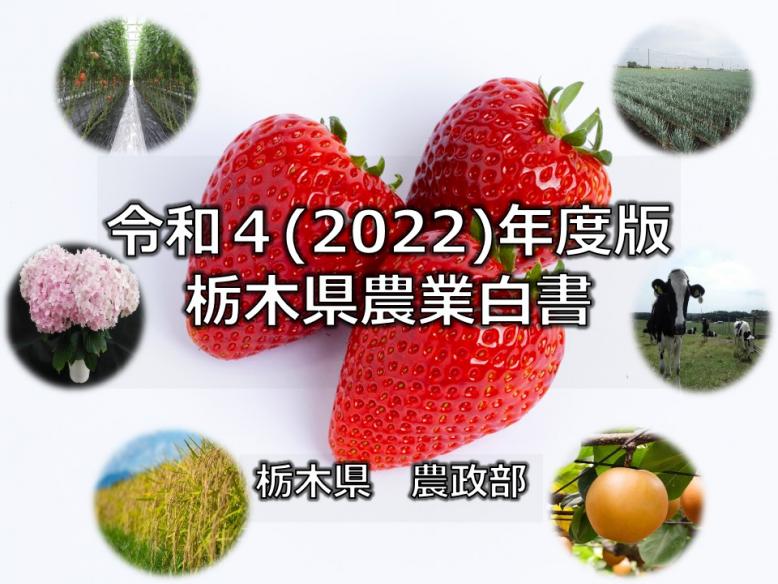 令和4年度版栃木県農業白書表紙