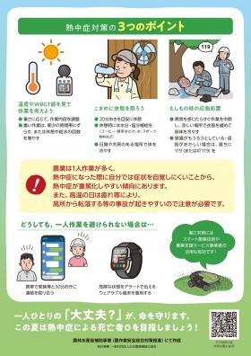 チラシ