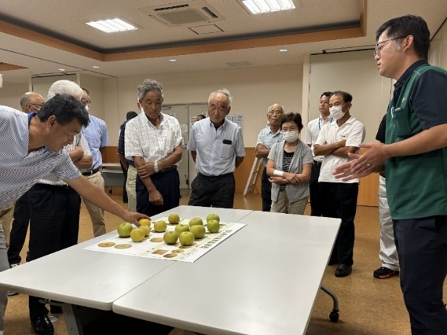 出荷規格を確認する生産者