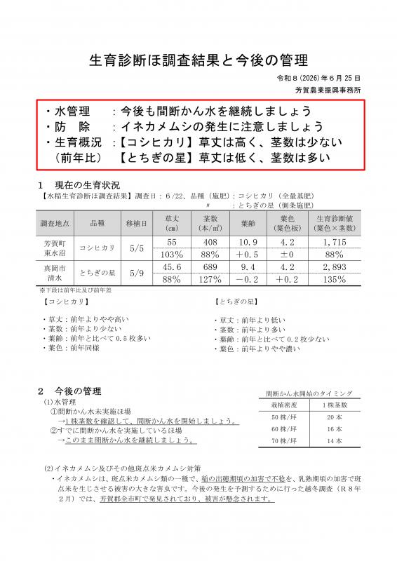 0622水稲1