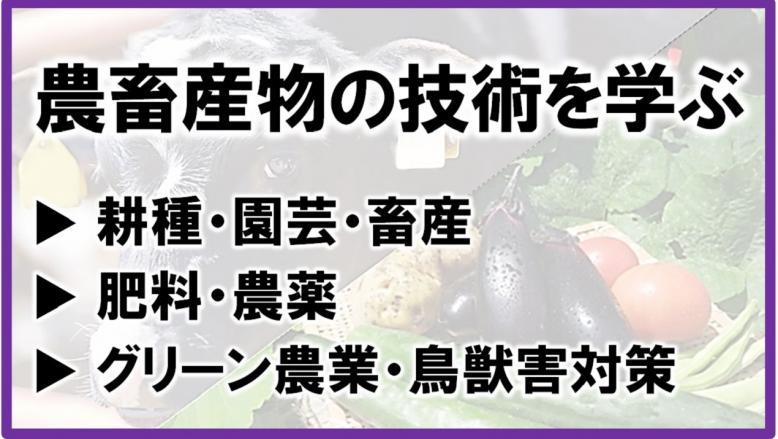 農畜産物の技術を学ぶ