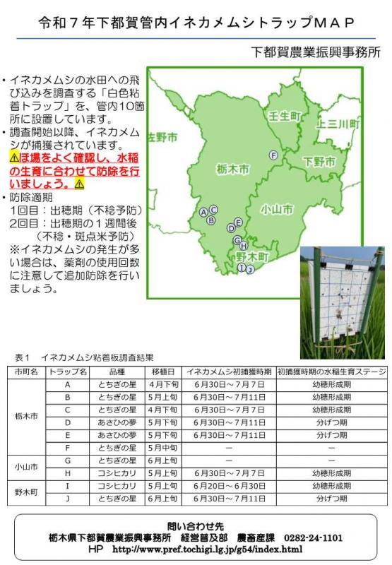 20250715_下都賀管内イネカメムシトラップ