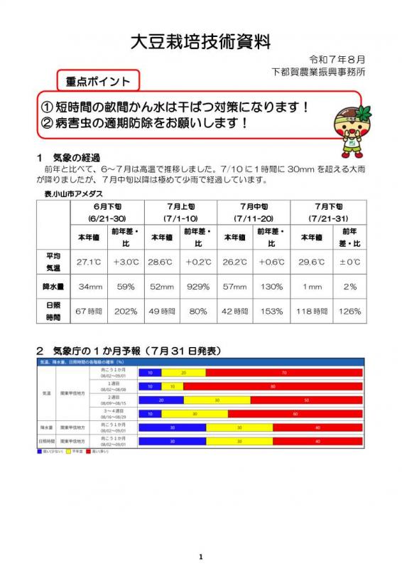 20250514_下都賀大豆1