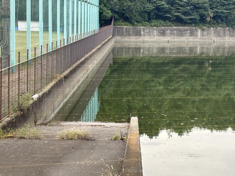 野木町公園北調整池