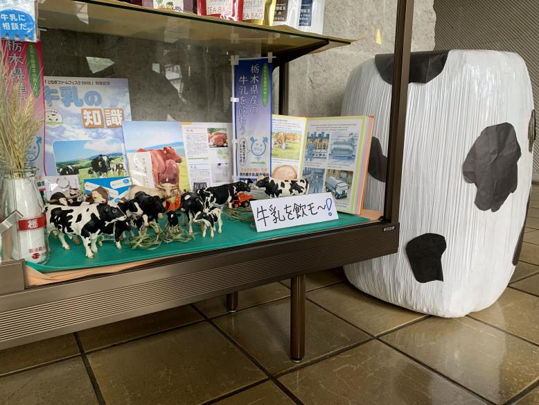 牛乳消費拡大を呼びかける展示品
