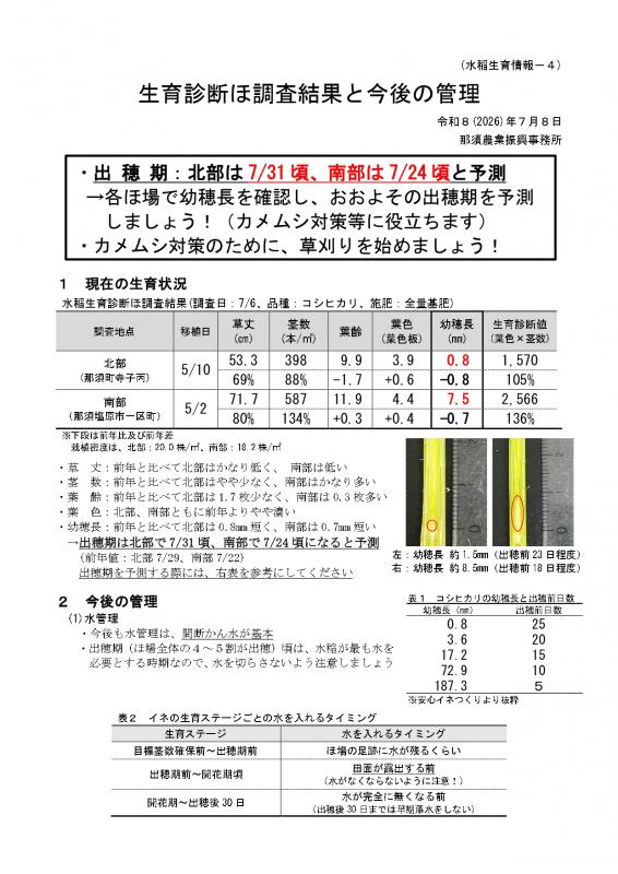 資料4-1