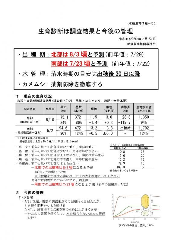 資料1