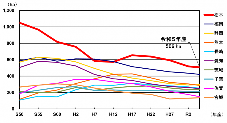 令和5年産いちご作付面積