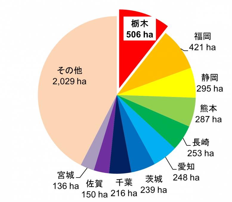 令和5年産いちご作付面積