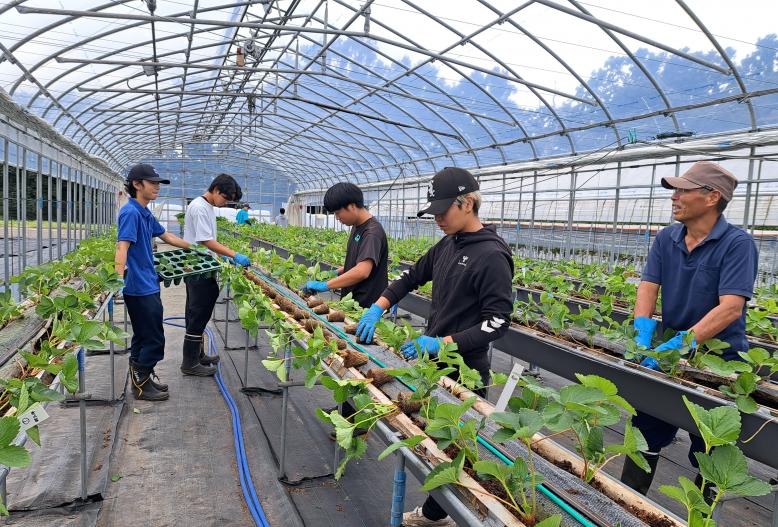 生産学部の高設定植