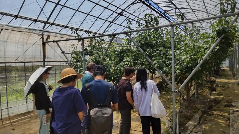 ippannockajur7konken