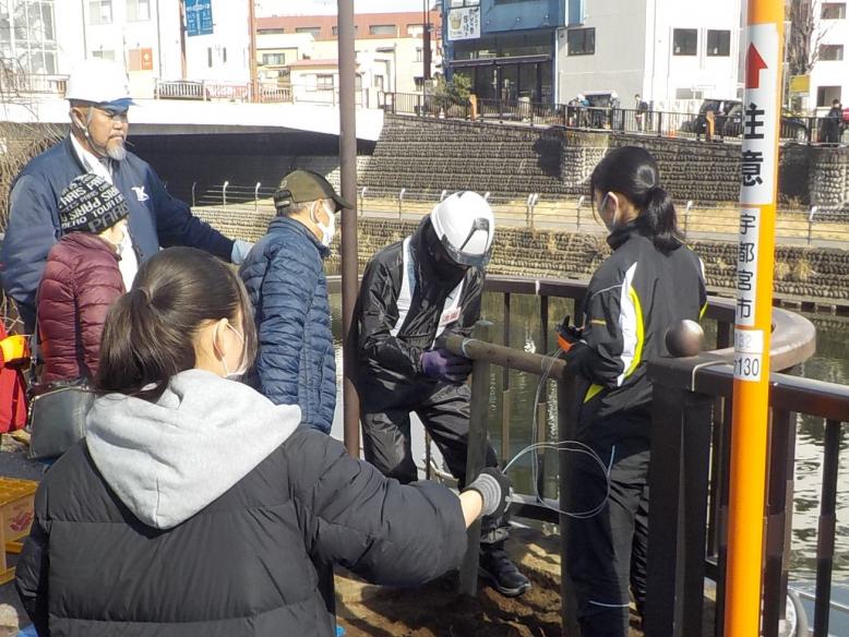 田川シダレザクラ復活祭植樹写真番線固縛