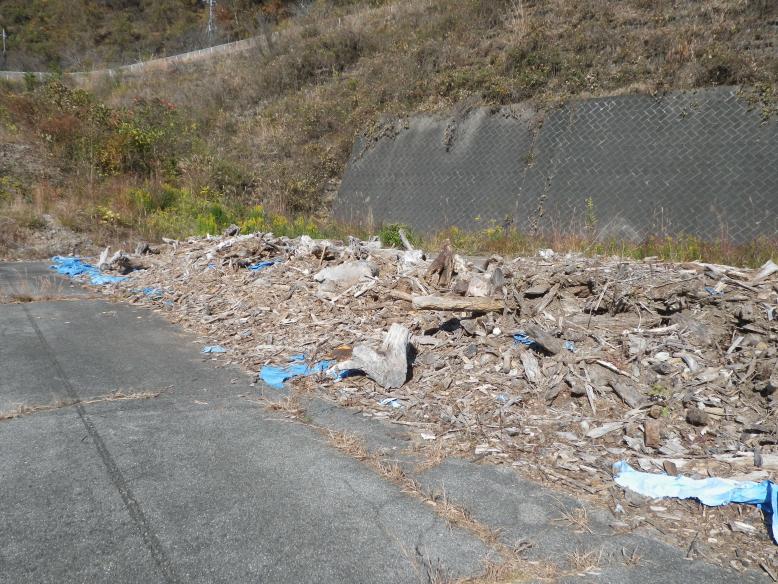 東荒川ダム流木２